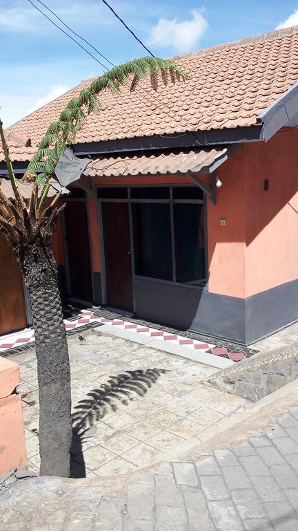 Sedulur Homestay Бромо Екстериор снимка